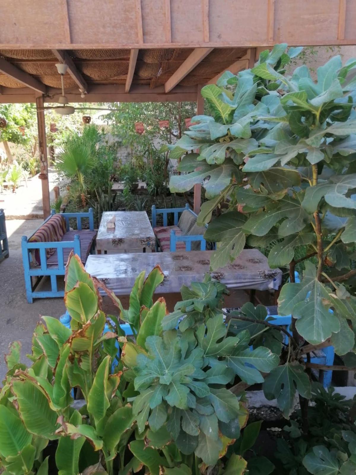 Rose Guest House Luxor Exterior photo
