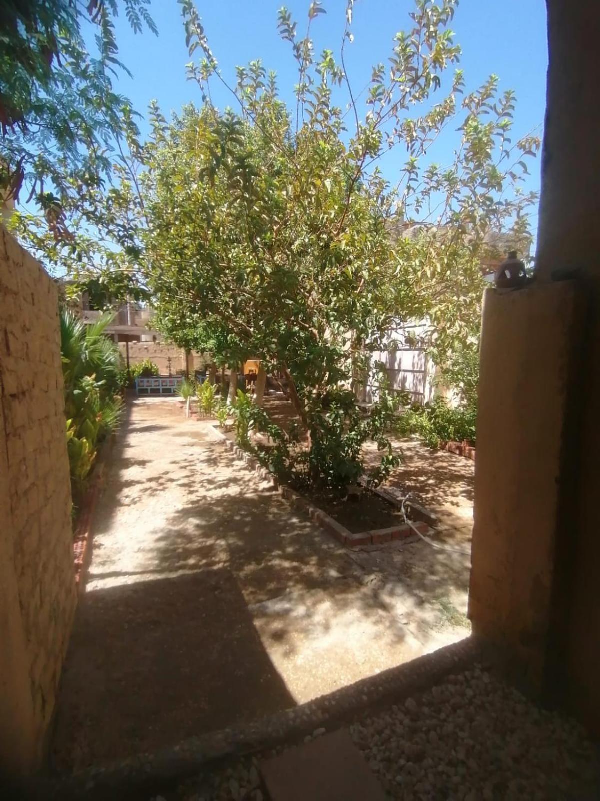 Rose Guest House Luxor Exterior photo